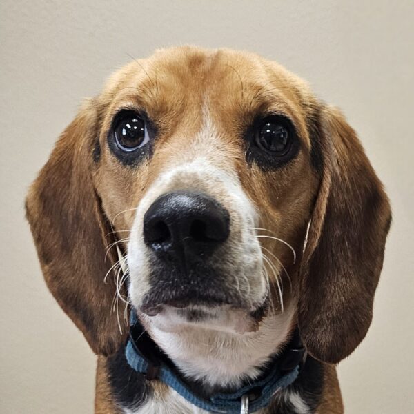 Buddy031424