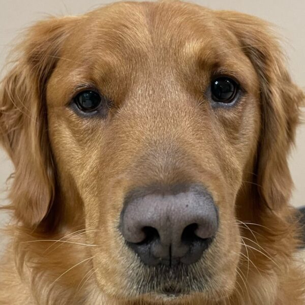 Cody032724