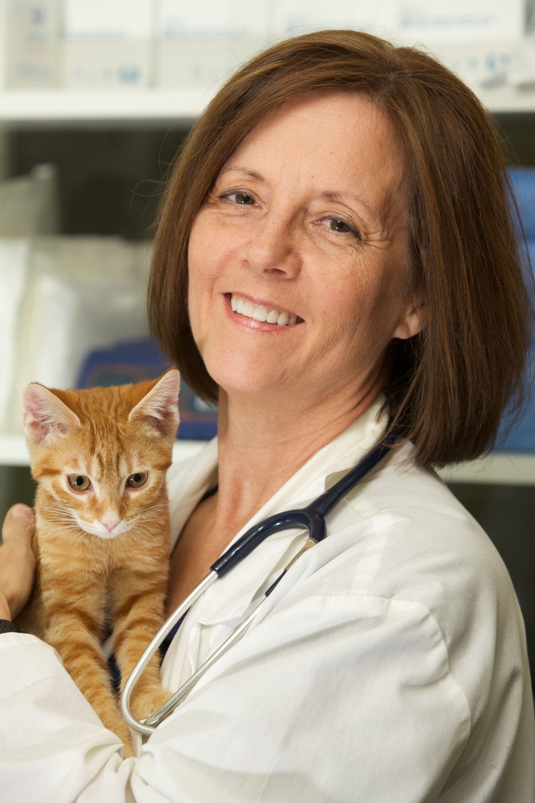 Veterinarian holding a kitten at PETSURG and ER4PETS in San Diego, CA A smiling female veterinarian in a white coat holds an orange tabby kitten at a veterinary clinic in San Diego, CA