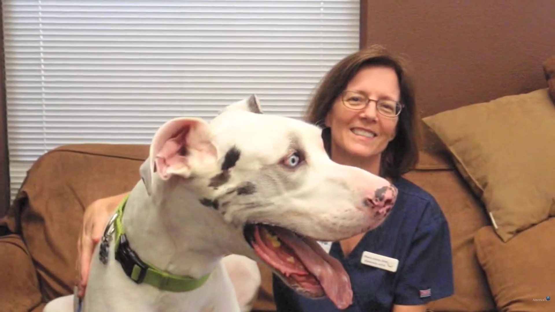 A smiling veterinary team member in blue scrubs poses with a large white dog at PETSURG and ER4PETS in San Diego, CA